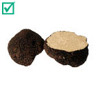 Tuber Aestivum Vitt.